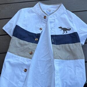 Kids White and Blue Dinosaur Shirt